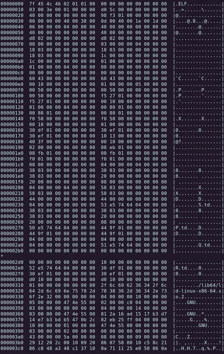 Dissecting and exploiting ELF files